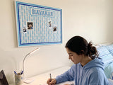 Olivia Pattern Cork Board