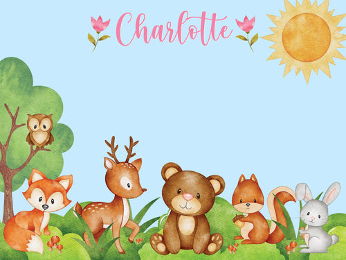 Woodland Animals Cork Board